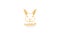 Cute head rabbit playful logo symbol vector icon illustration graphic design