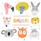 Cute heads of animals vector illustration