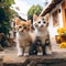 Cute and healthy kittens pose together