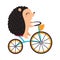 Cute Hedgehog Biking or Cycling Riding Bicycle Vector Illustration