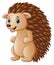 Cute hedgehog cartoon