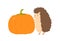 Cute hedgehog holding huge ripe pumpkin vector flat illustration. Funny forest animal standing autumn seasonal harvest