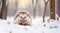 A cute hedgehog sits in a snowdrift against the backdrop of a beautiful winter landscape.