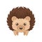 Cute hedgehog, sweet lovely prickly animal cartoon character, front view vector Illustration on a white background