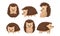 Cute Hedgehogs in Various Poses Vector Set. Friendly Forest Creature Collection