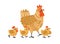 Cute hen walking with yellow chicken. Funny mom and three baby birds. Colorful textured flat vector illustration