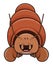 Cute Hermit Crab Front View Color Illustration