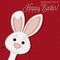Cute Hiding Easter Bunny card