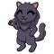 Cute highland fold cat cartoon giving thumbs up