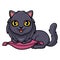 Cute highland fold cat cartoon on the pillow