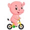 Cute hippopotamus bicycling