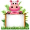 Cute hippopotamus with board