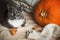 A cute home gray cat with yellow eyes lies near the autumn decor items - a large orange pumpkin, a warm sweater and dry maple