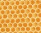 Cute honey sweet background. Honeycomb banner. Vector cartoon flat