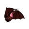 Cute horror flying bat animal from deep cave