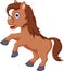 Cute horse cartoon running