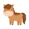Cute horse domestic farm animal cartoon