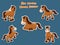Cute Horses Cartoon Sticker Set. Vector Illustration With Cartoon Funny Animal Frame