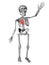 Cute human body skeleton with red heart