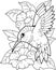 Cute hummingbird bird, coloring book, funny illustration