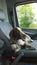 Cute hunting dog sitting in a car