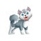Cute Husky Dog! Video Game`s Digital CG Artwork