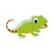 Cute iguana Animal Illustration Design