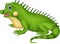 Cute iguana cartoon