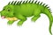 Cute iguana cartoon posing with laughing and sticking her tongue out