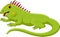 Cute iguanas cartoon