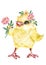 Cute illustration of a little chicken with a flower. Wreath of spring flowers. Easter illustration.