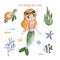 Cute illustration with mermaid and friends.Set with turtle,shells,fishes,corals and seaweeds