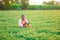 Cute Indian baby boy playing at gardenIndian farmer at the chickpea field