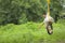 Cute indian child playing on swing made by tyre and rope on tree at green field