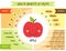 Cute infographic page of Health Benefits of fruits