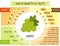 Cute infographic page of Health Benefits of fruits