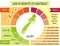 Cute infographic page of Health Benefits of vegetables