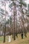 Cute innocent bride with her handsome groom posing in green pine forest