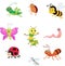 Cute insect collection set