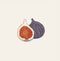 Cute isolated Sliced fig on the background