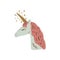 Cute isolated stylish boho unicorn face composition. Good night concept. Magical animals. Pastel colors. Pony nursery print.