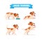 cute jack russel dog animal pet with many pose bundle set