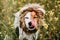 Cute jack russell dog wearing a lion costume on head. Happy dog licking nose with tongue outdoors in nature in yellow flowers