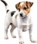 A cute Jack Russell Terrier. Ai-generated.