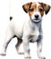 A cute Jack Russell Terrier. Ai-generated.