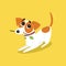 Cute jack russell terrier running with stick, funny pet animal character cartoon vector Illustration