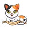 Cute japanese bobtail cat cartoon on the pillow