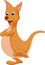 Cute kangaroo cartoon