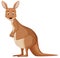 Cute kangaroo standing on white background