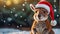 Cute kangaroo wearing Santa hat snow